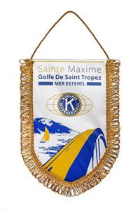 GAGLIARDETTO SCUDETTO 28x20 cm